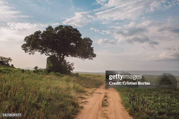 Simiyu 390 Simiyu Region Stock Photos, High-Res Pictures, and Images - Getty ...