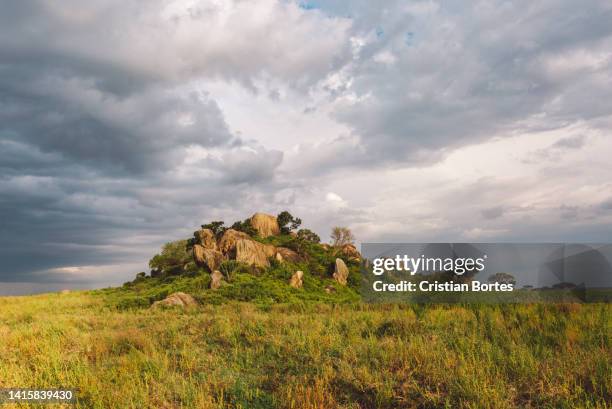 Simiyu 390 Simiyu Region Stock Photos, High-Res Pictures, and Images - Getty ...