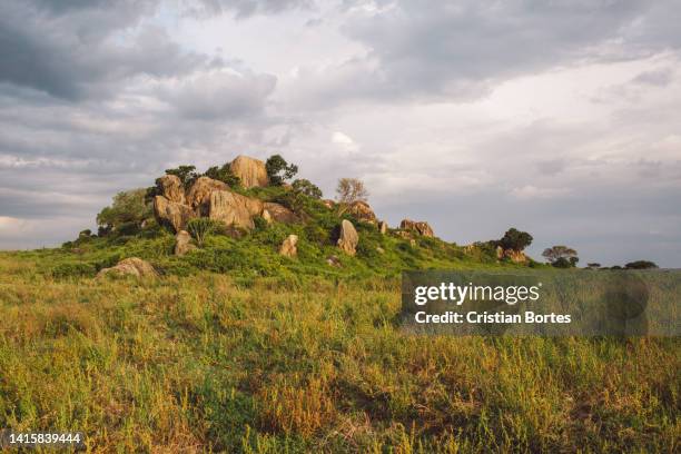 Simiyu Simiyu Region Photos and Premium High Res Pictures - Getty Images