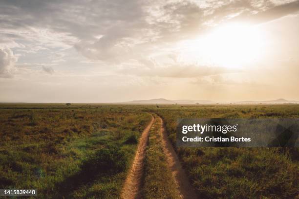 Simiyu 390 Simiyu Region Stock Photos, High-Res Pictures, and Images - Getty ...
