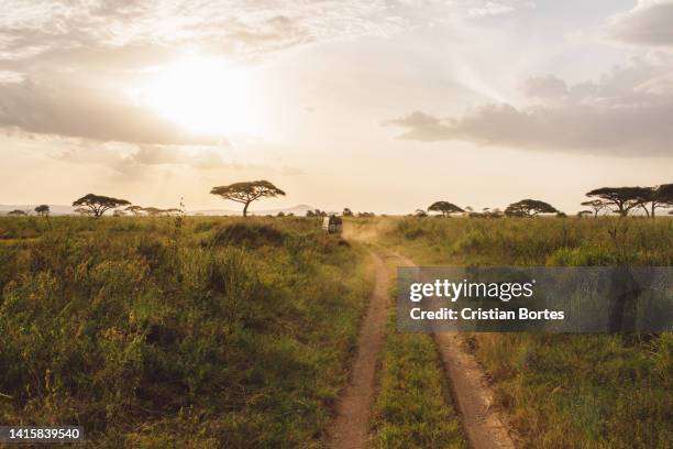 Simiyu 390 Simiyu Region Stock Photos, High-Res Pictures, and Images - Getty ...