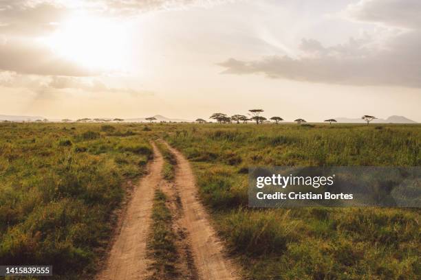 Simiyu 390 Simiyu Region Stock Photos, High-Res Pictures, and Images - Getty ...