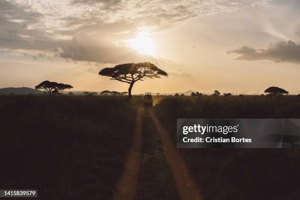 Simiyu 388 Simiyu Region Stock Photos, High-Res Pictures, and Images - Getty ...