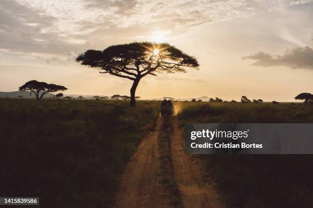 Simiyu 390 Simiyu Region Stock Photos, High-Res Pictures, and Images - Getty ...