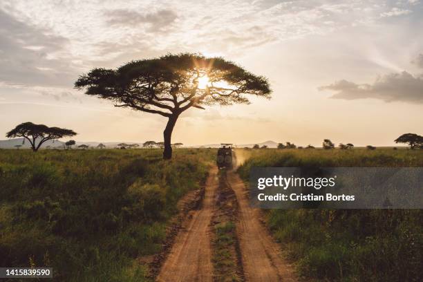 Simiyu 390 Simiyu Region Stock Photos, High-Res Pictures, and Images - Getty ...