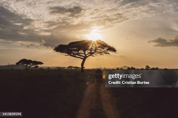 Simiyu 390 Simiyu Region Stock Photos, High-Res Pictures, and Images - Getty ...
