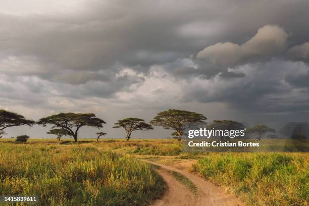 Simiyu 390 Simiyu Region Stock Photos, High-Res Pictures, and Images - Getty ...
