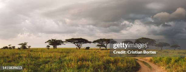 Simiyu 390 Simiyu Region Stock Photos, High-Res Pictures, and Images - Getty ...