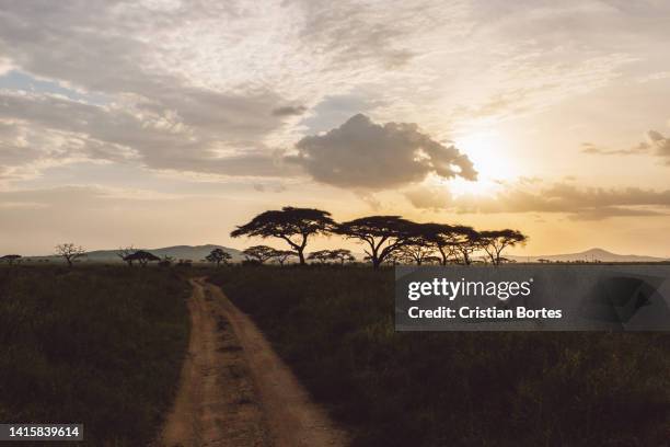 Simiyu 390 Simiyu Region Stock Photos, High-Res Pictures, and Images - Getty ...