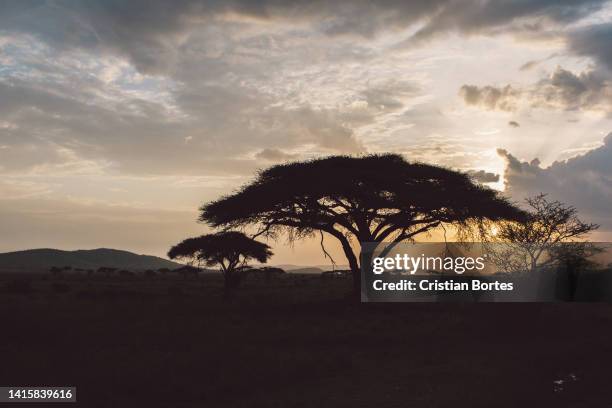 Simiyu 390 Simiyu Region Stock Photos, High-Res Pictures, and Images - Getty ...