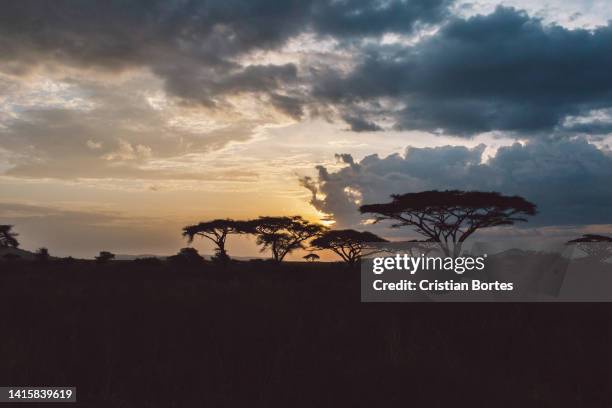 Simiyu 390 Simiyu Region Stock Photos, High-Res Pictures, and Images - Getty ...