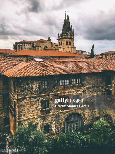 oviedo, northern spain - oviedo stock pictures, royalty-free photos & images