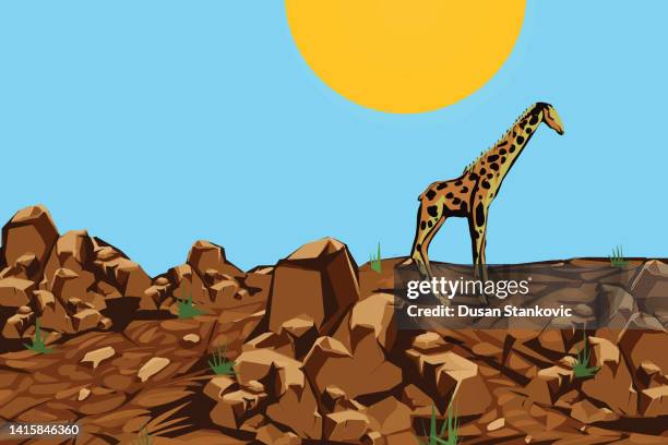 drought and climate change impact on animals - green rustic background stock illustrations