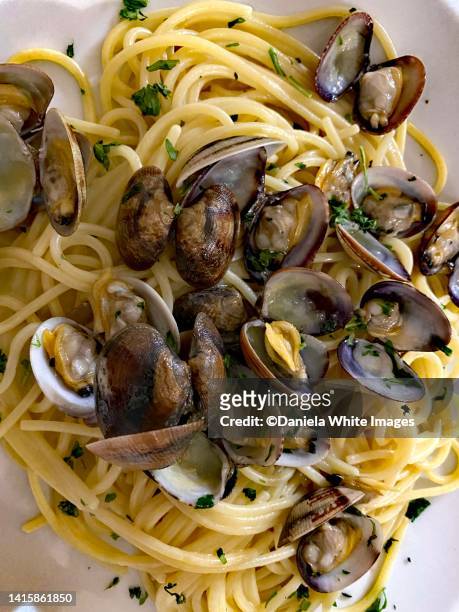 spaghetti con vongole - clams cooked stock-fotos und bilder