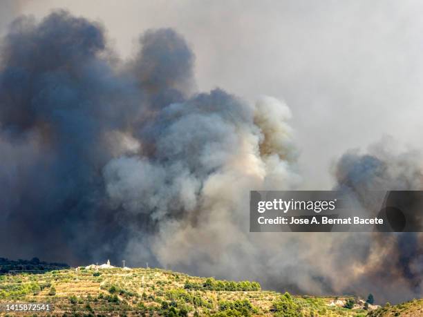 mediterranean forest mountain landscape with smoke and fire from a forest fire. - controlled fire stock pictures, royalty-free photos & images