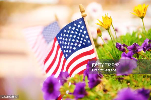 herbsthintergrund mit amerikanischen flaggen zwischen lebendigen petunien. platz für text - patriotic flags stock-fotos und bilder