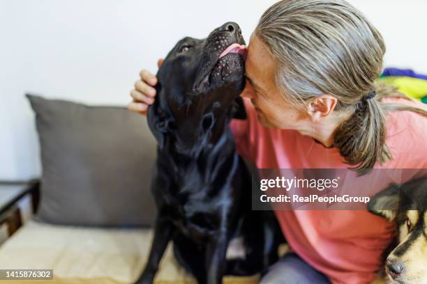 my dogs are very affectionate - feet lick bildbanksfoton och bilder