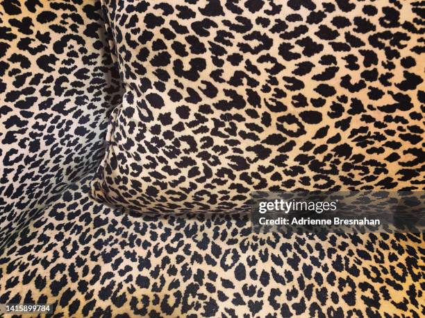 leopard print upholstery - gepardtryck bildbanksfoton och bilder