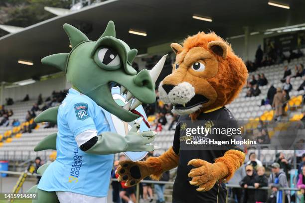 Team mascots Tane the Taniwha of Northland and Leo the Lion of Wellington shake hands during the round three Bunnings NPC match between Wellington...