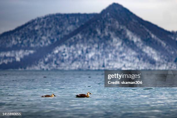 simply landscape of lake toya with snow mountain background - mount yotei stock pictures, royalty-free photos & images