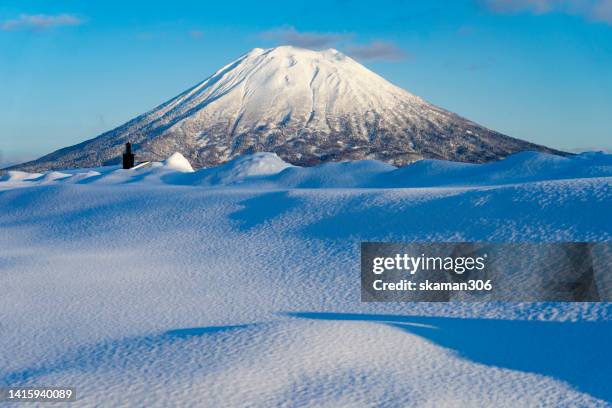 beautiful winter landscape  forest view around little fuji mountain yotei  cover by snow and village near niseko hokkaido japan 2019 - hokkaido stock pictures, royalty-free photos & images