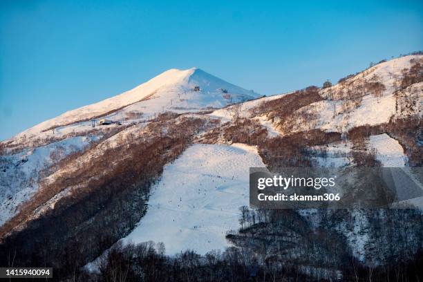 beautiful winter landscape  forest view around little fuji mountain yotei  cover by snow and village near niseko hokkaido japan 2019 - hirafu snow resort photos et images de collection