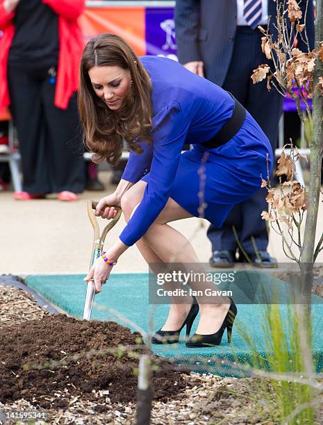 Catherine, Duchess of Cambridge plants a tree during the official opening of The Treehouse Children's Hospice on March 19, 2012 in Ipswich, England.