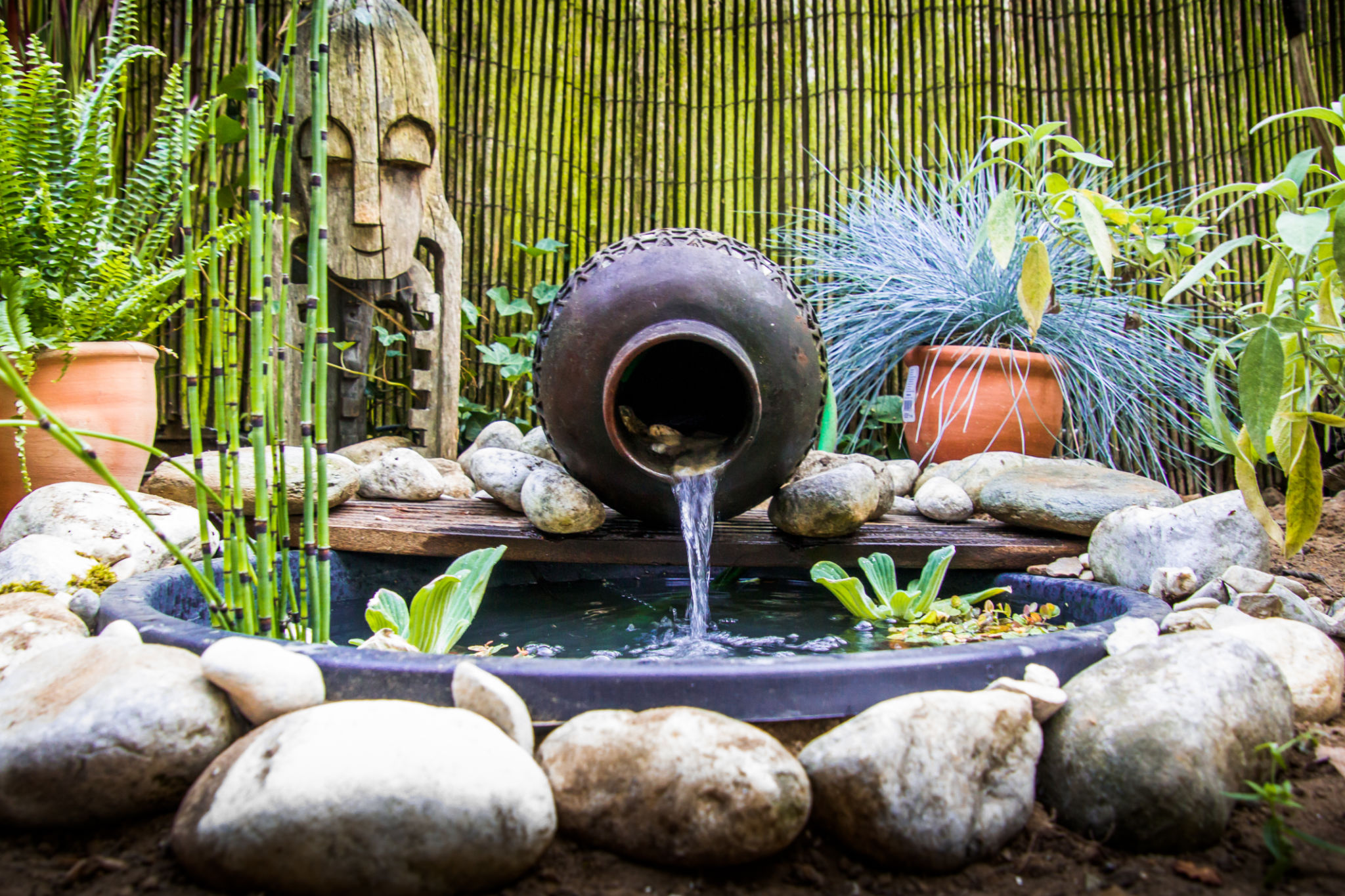 small garden pool