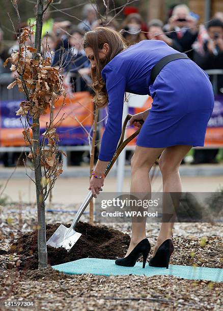 Catherine, Duchess of Cambridge during a tree planting ceremony whilst on a visit to open The Treehouse Children's Hospice on March 19, 2012 in...