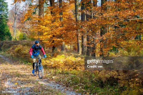 black man in sportswear roaming countryside on bicycle - 選區選民 個照片及圖片檔