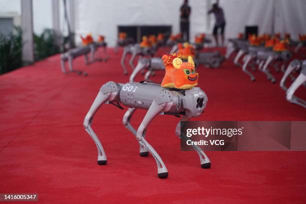 Unitree Go1 robotic dogs perform during 2022 World Robot Conference at Beijing Etrong International Exhibition & Convention Center on August 18, 2022...