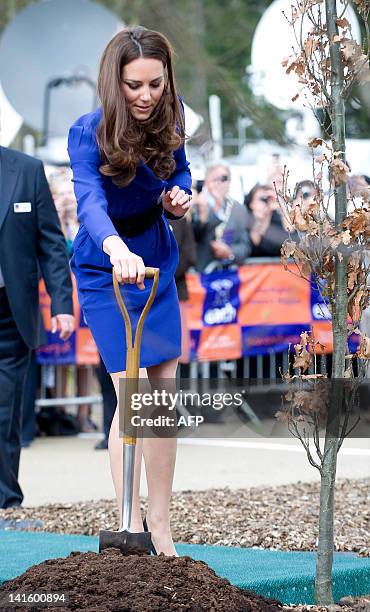 Britain's Catherine, Duchess of Cambridge plants a tree during a visit to The Treehouse in Ipswich, eastern England, on March 19, 2012. The Duchess...