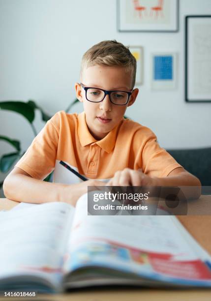portrait of a cute young boy doing homework at home - text book stockfoto's en -beelden