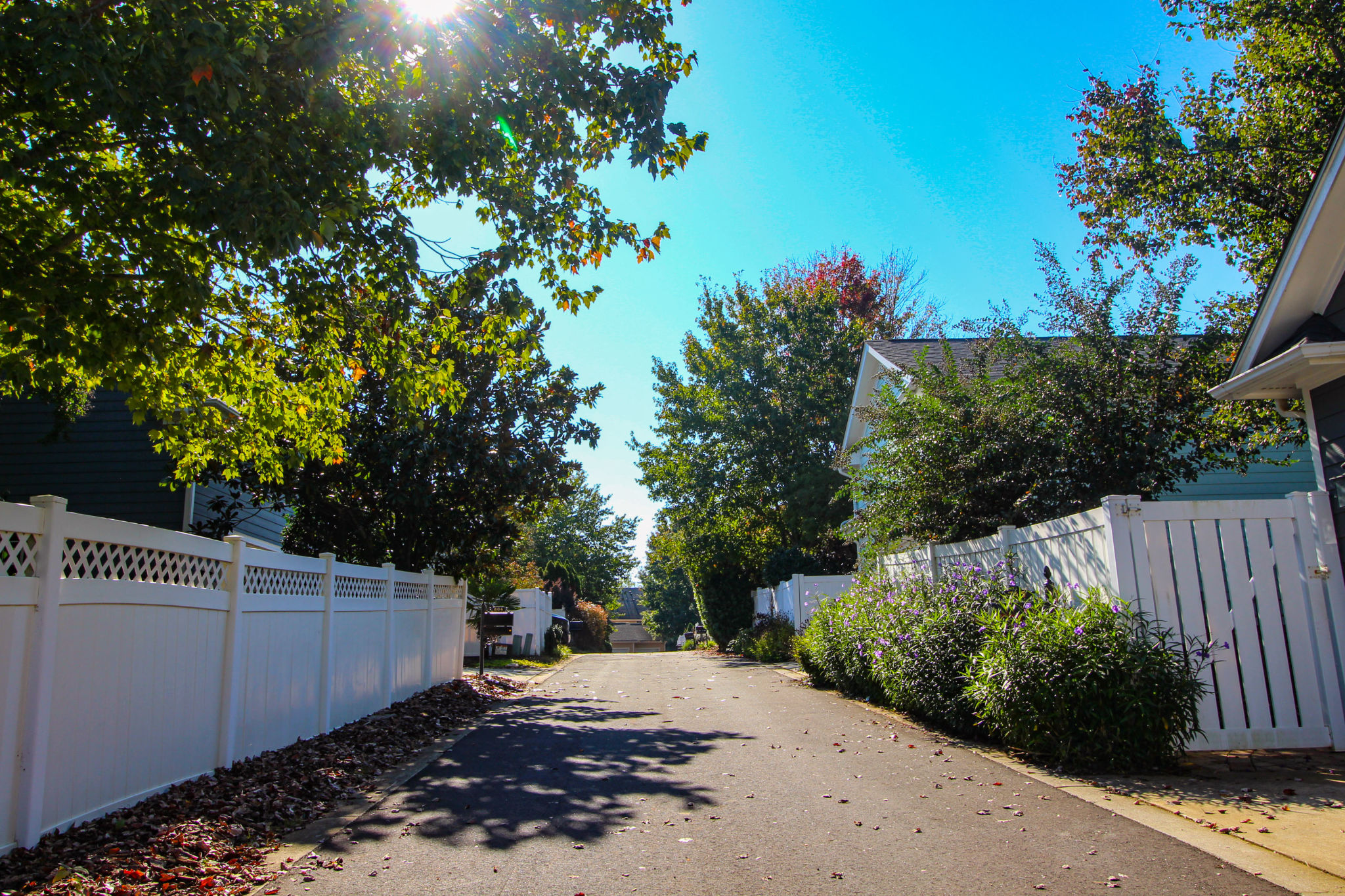fort mill homes