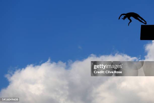 Catalin-Petru Preda of Romania competes in the Men's 27m High Diving on Day 10 of the European Aquatics Championships Rome 2022 at the Stadio del...