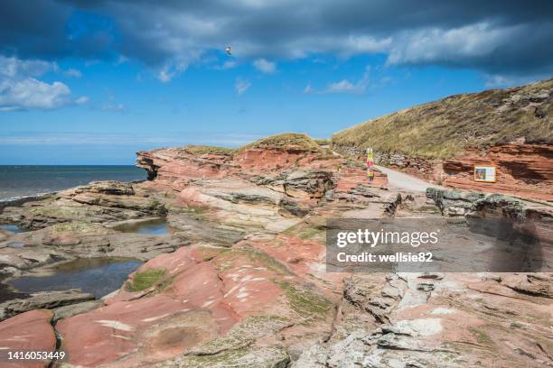 red rock on hilbre island - red rocks stock pictures, royalty-free photos & images