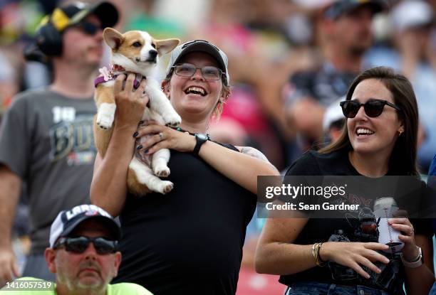 Fan holds her pet dog during the NASCAR Xfinity Series Sunoco Go Rewards 200 at The Glen at Watkins Glen International on August 20, 2022 in Watkins...
