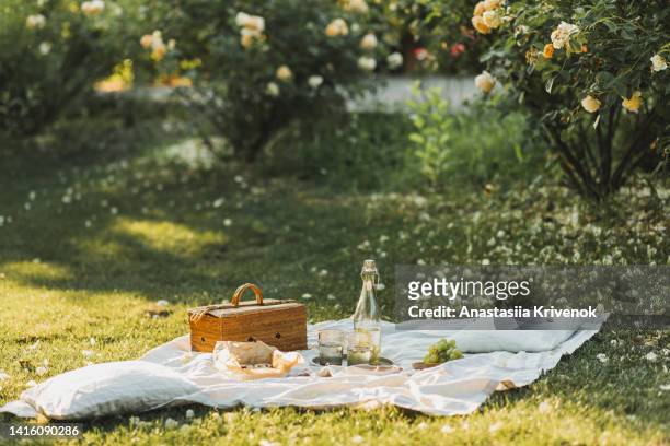 beautiful summer picnic outdoor with tasty food and lemonade. - picnic stock pictures, royalty-free photos & images