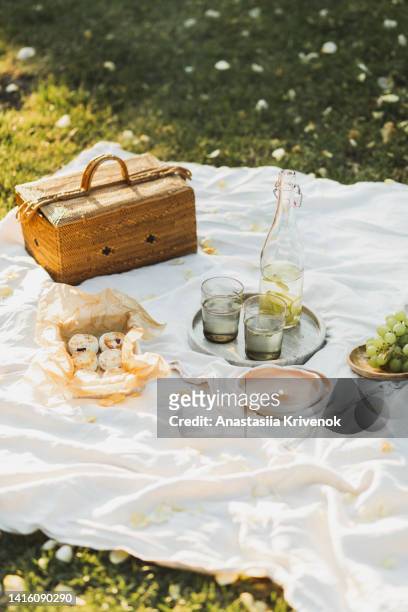 beautiful summer picnic outdoor with tasty food and lemonade. - wicker photos et images de collection