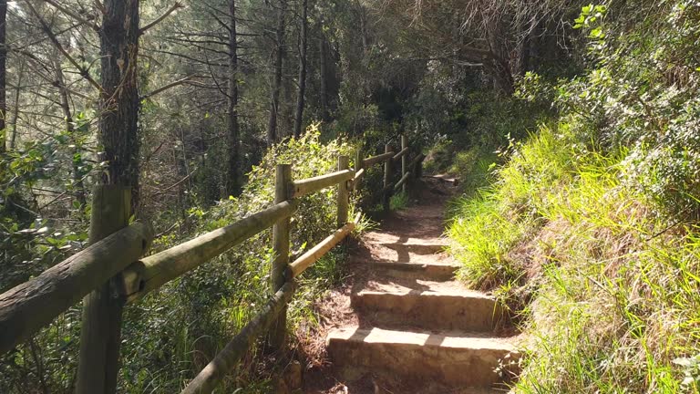 Rustic Path Railing 12 Rustic Stair Railing Stock Videos, Footage, & 4K Video Clips - Getty ...