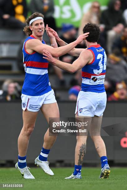 Aaron Naughton of the Bulldogs celebrates a goal during the round 23 AFL match between the Hawthorn Hawks and the Western Bulldogs at University of...