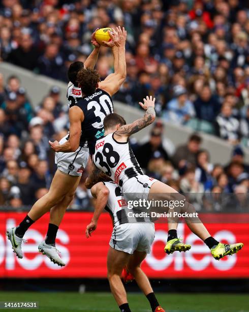 Brayden Maynard of the Magpies attempts to mark the ball against Charlie Curnow of the Blues during the round 23 AFL match between the Carlton Blues...