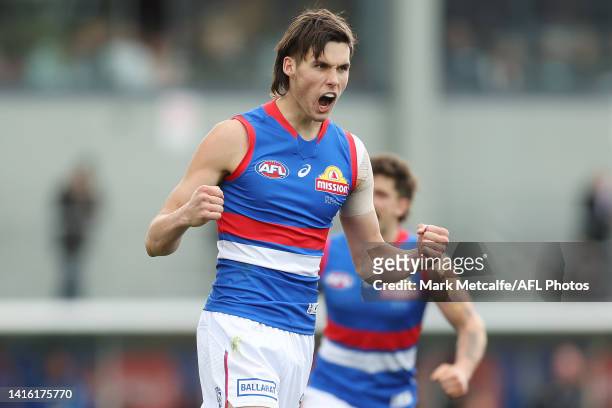 Sam Darcy of the Bulldogs celebrates kicking a goal during the round 23 AFL match between the Hawthorn Hawks and the Western Bulldogs at University...