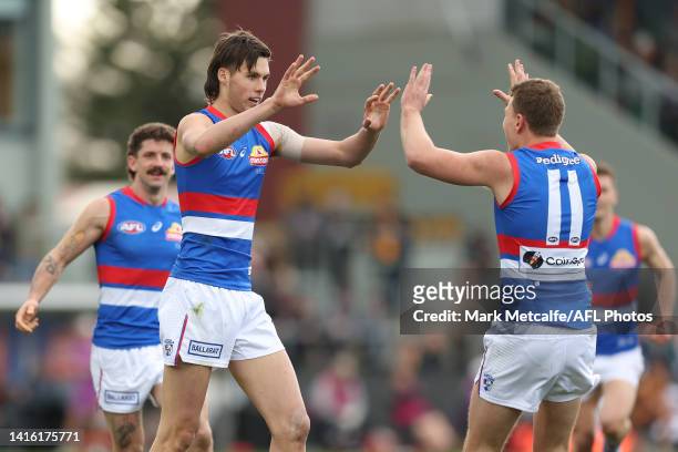 Sam Darcy of the Bulldogs celebrates kicking a goal during the round 23 AFL match between the Hawthorn Hawks and the Western Bulldogs at University...