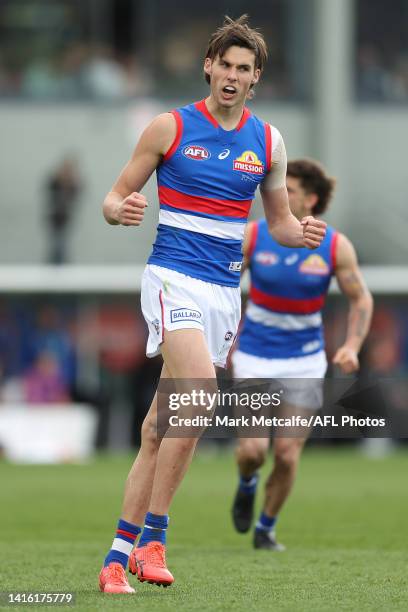 Sam Darcy of the Bulldogs celebrates kicking a goal during the round 23 AFL match between the Hawthorn Hawks and the Western Bulldogs at University...