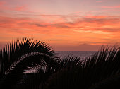 Beautiful orange red sunrise over calm ocean with silhouette of palm tree leaves and Pico del Teide volcano. Soft focus on horizon. La Palma, Canary Island.
