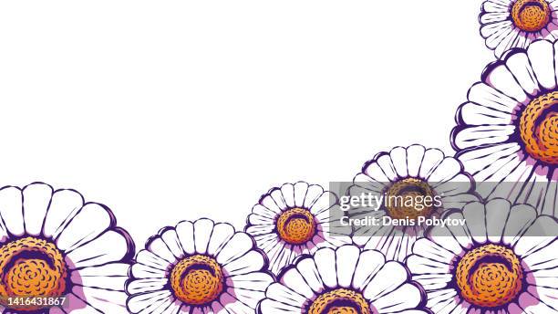 drawn cute flower banner composition - chamomile or daisies. - chamomile extract stock illustrations