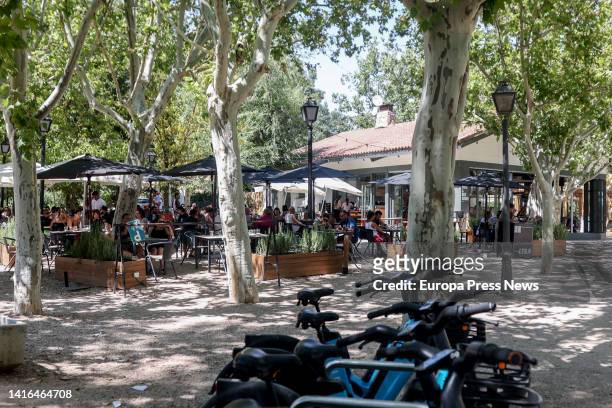 People walk around the Casa de Campo lake on August 21 in Madrid, Spain. Its 1535.52 hectares make this natural space the largest public park in...