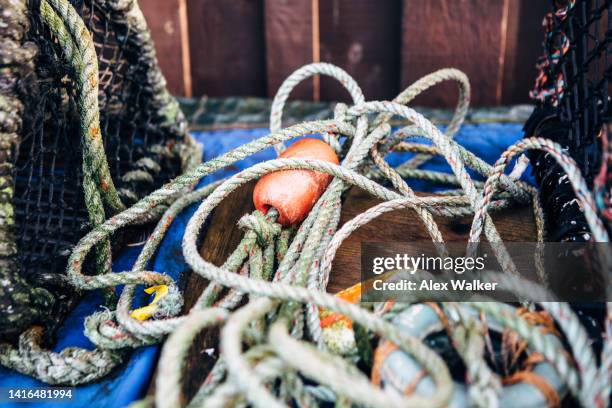 Tangled Fish Rope 175 Coiled And Tangled Rope Stock Photos, High-Res Pictures, and Images ...
