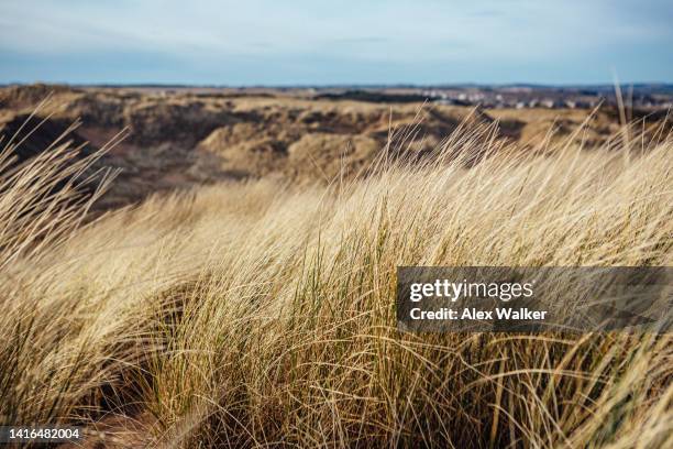 Balmide 1,159 Balmedie Stock Photos, High-Res Pictures, and Images - Getty Images